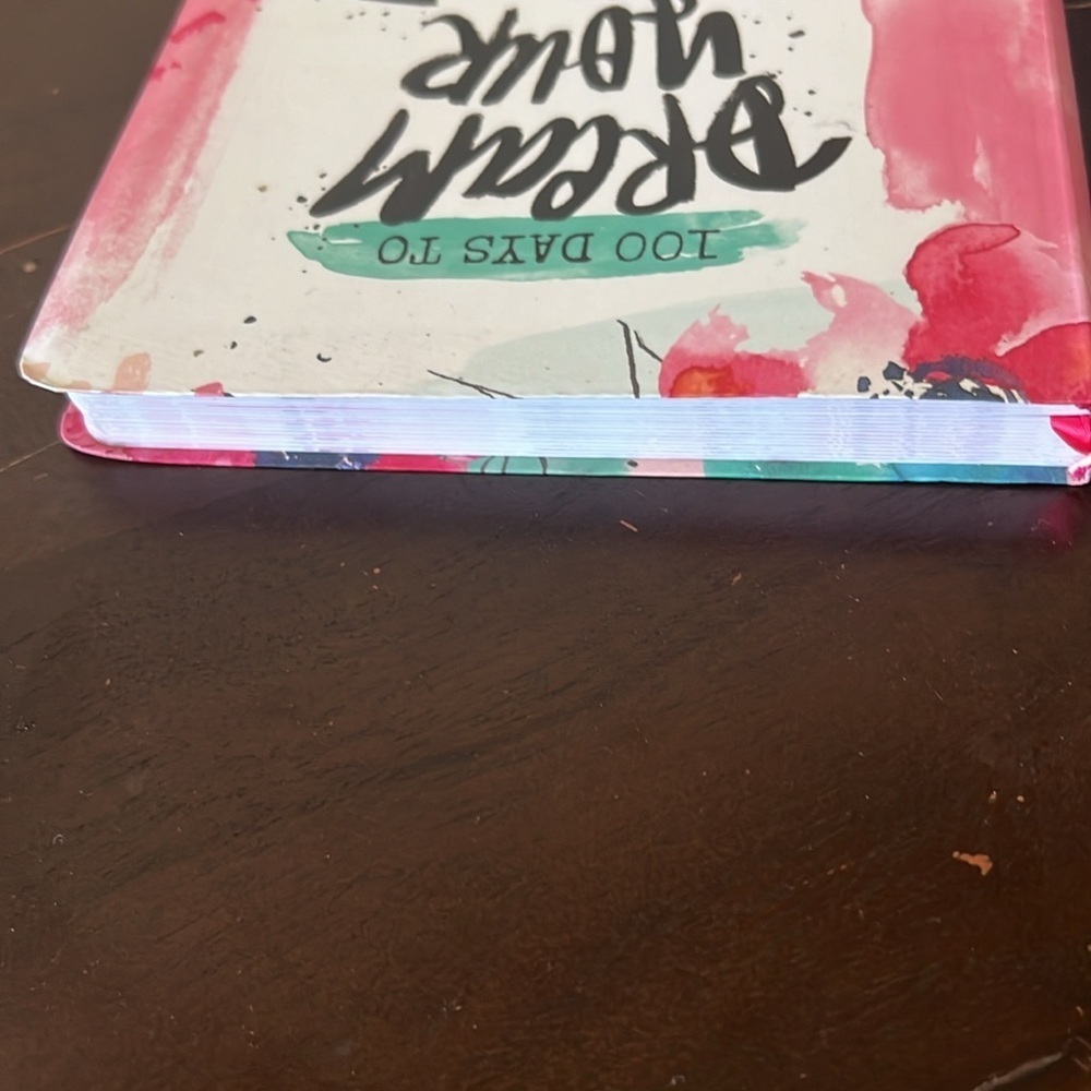 100 Days to Dream Your Heart Out - Devotional Journal by Katy Fults - Picture 5 of 8